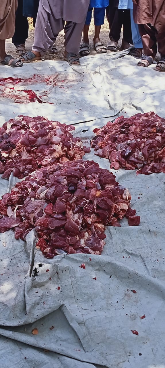 Impact Photo other-27